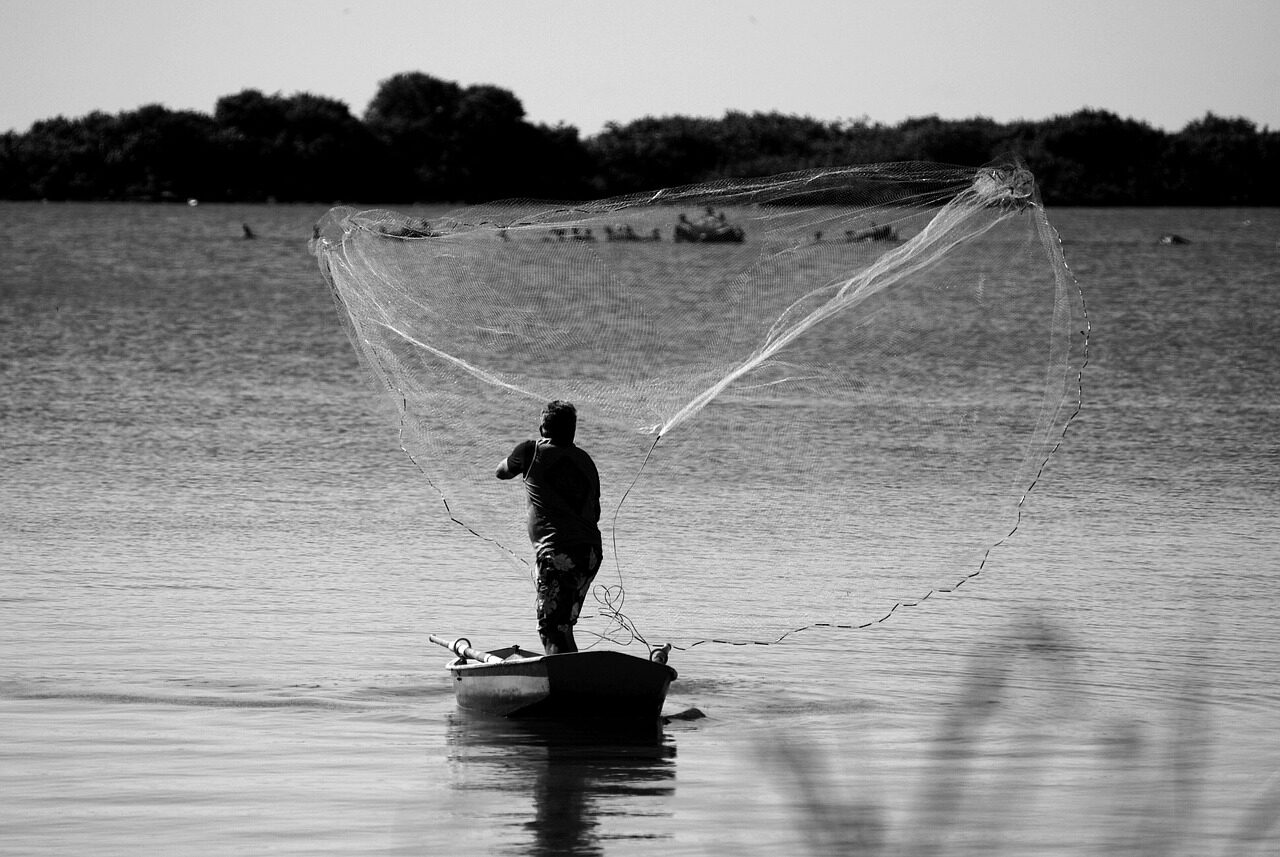 A fisherman casting a net on waters where satellite-derived advisories guide fleets toward productive zones.
